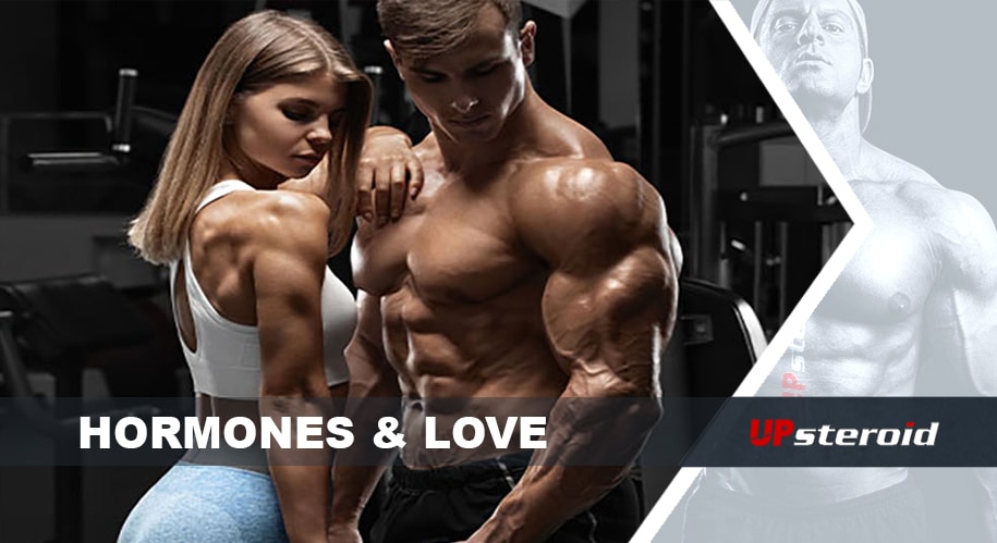 hormones love