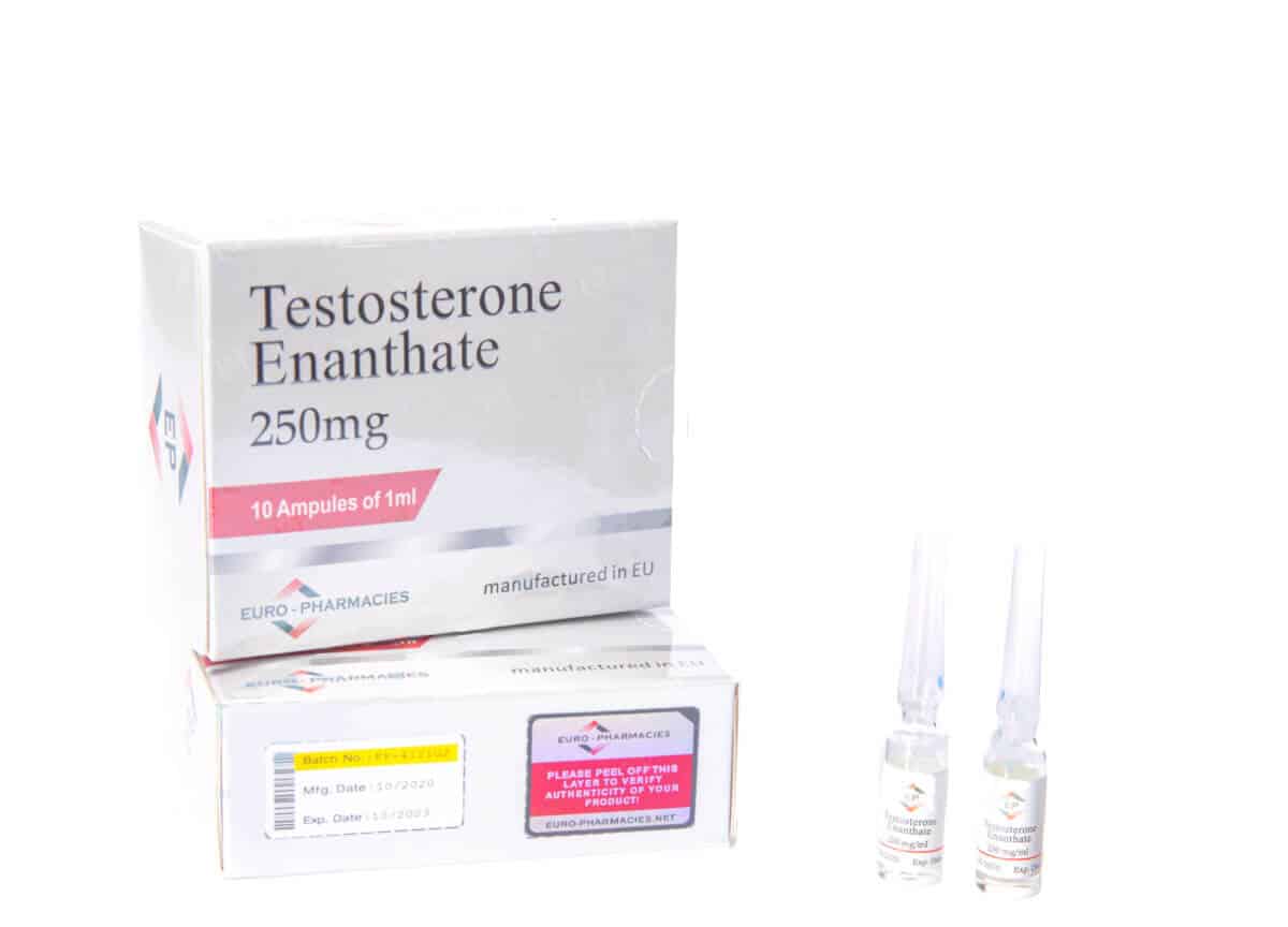 10ml amps TESTOSTERONE ENANTHATE euro