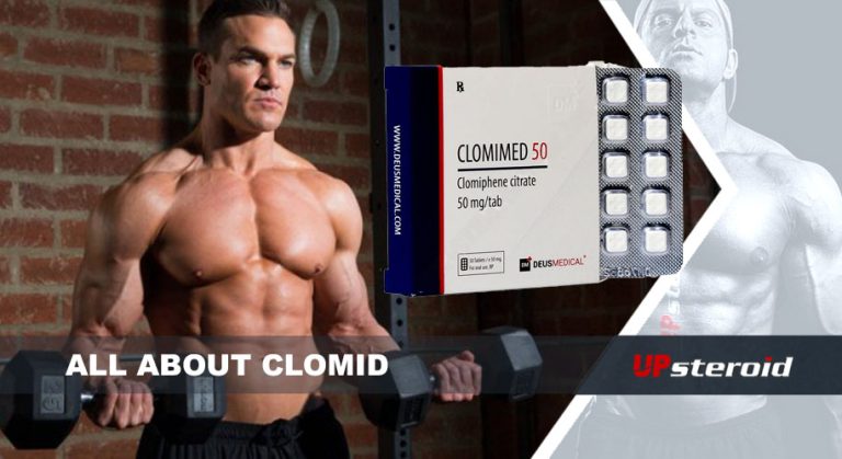 all about clomid UP