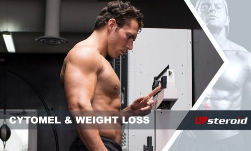 Cytomel weight loss