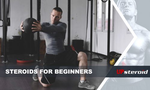 steroids for beginners