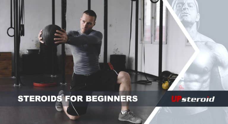 steroids for beginners