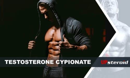 up blog testosterone cypionate for bodybuilding