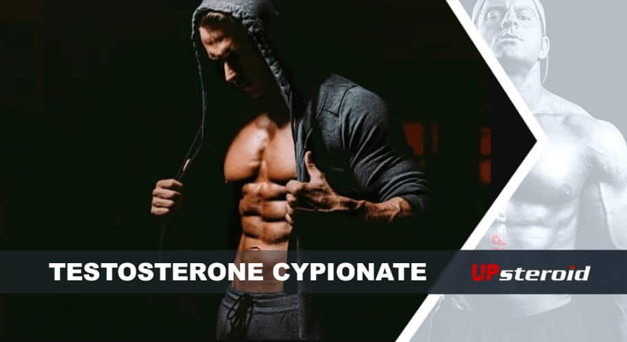 up blog testosterone cypionate for bodybuilding