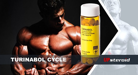 up blog turinabol cycle mail