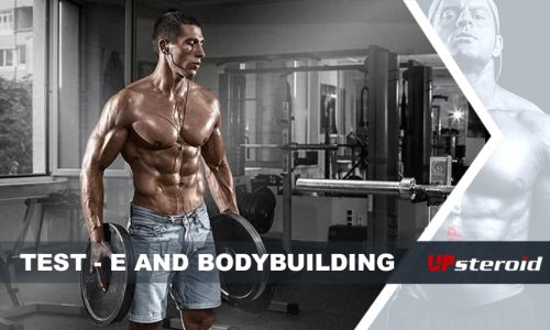 up blog test e bodybuilding