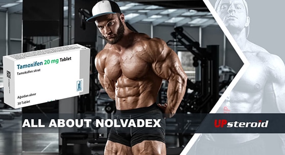 up blog about nolvadex mail