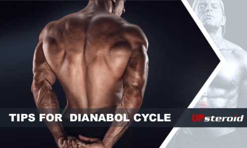 Up blog tips dianabol cycle