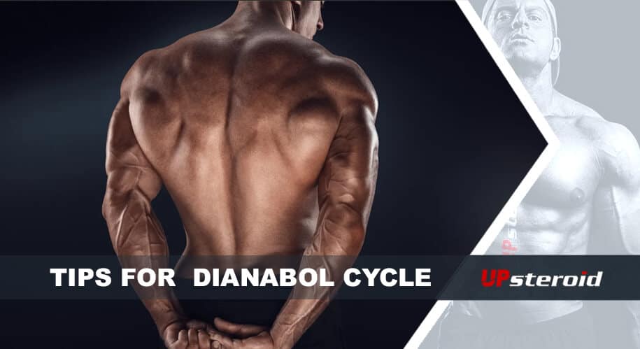 Up blog tips dianabol cycle