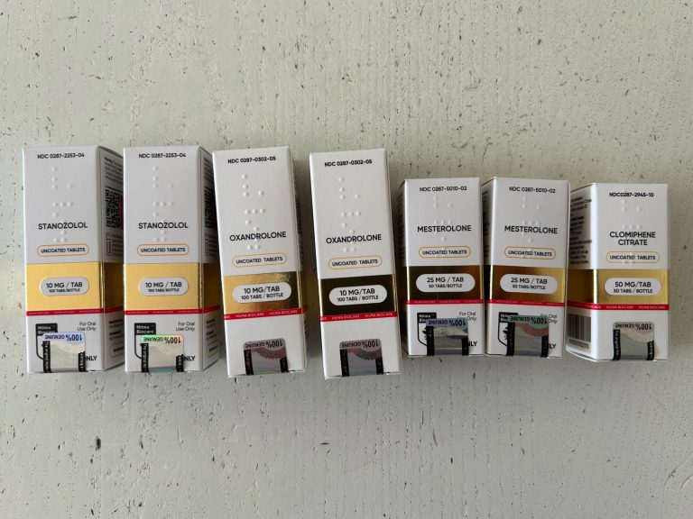 2024 02 12 65ca6799e5779 2 Photo 26.11.23