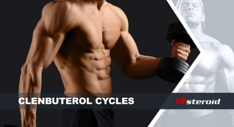 up blog clenbu cycle