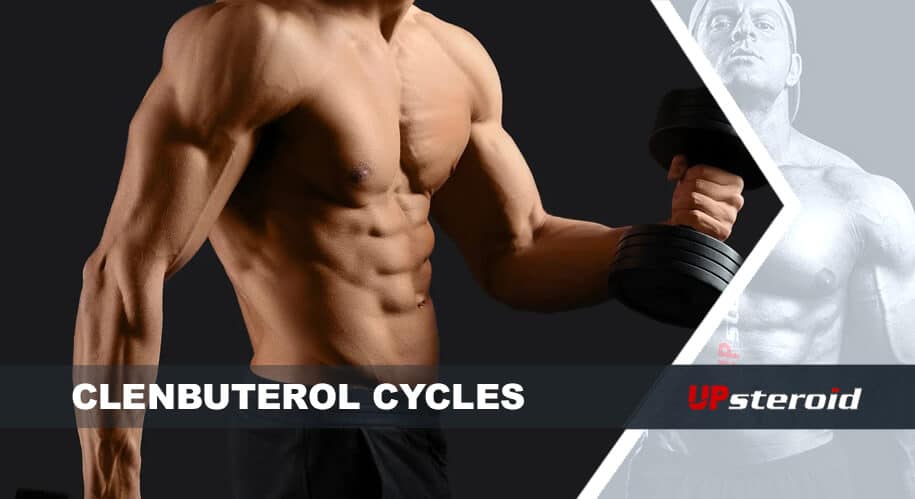 up blog clenbu cycle