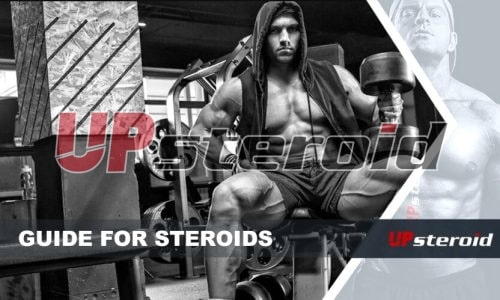 up blog guide steroid