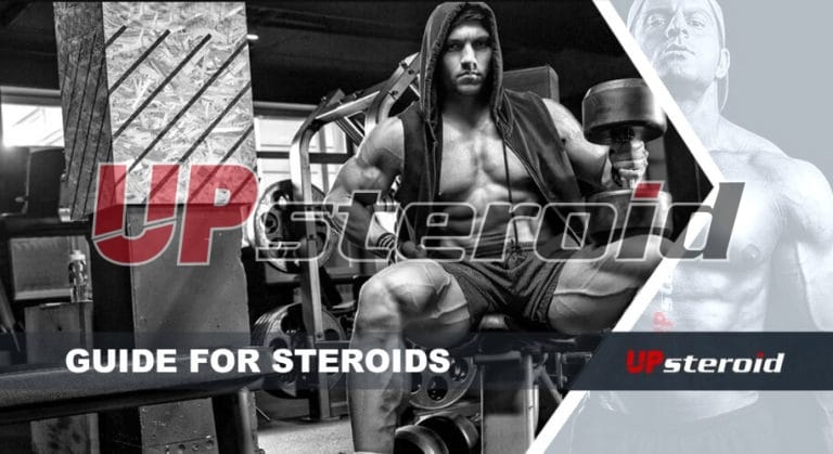 up blog guide steroid