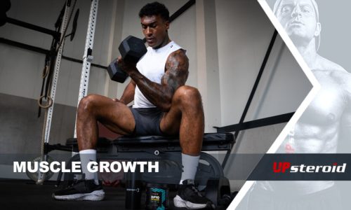 up blog MUSCLE GROWTH
