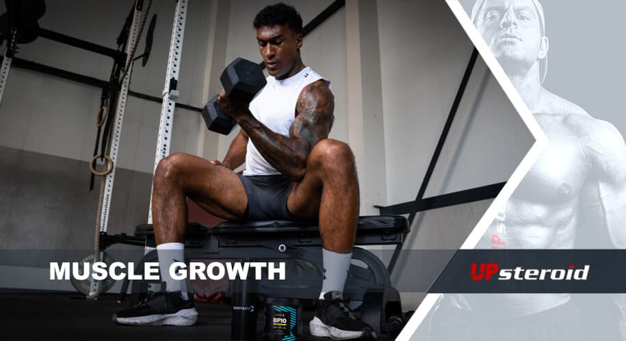 up blog MUSCLE GROWTH