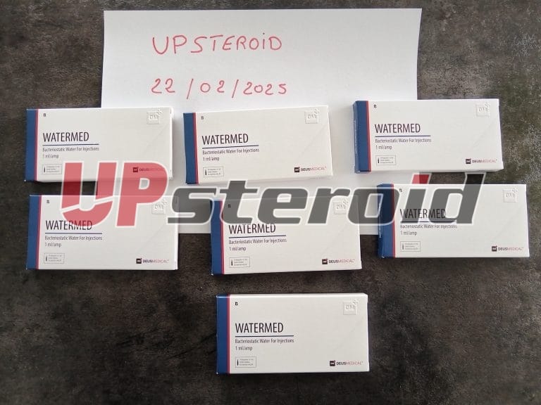 2025 02 25 67bdaf54419d5 Photos1a