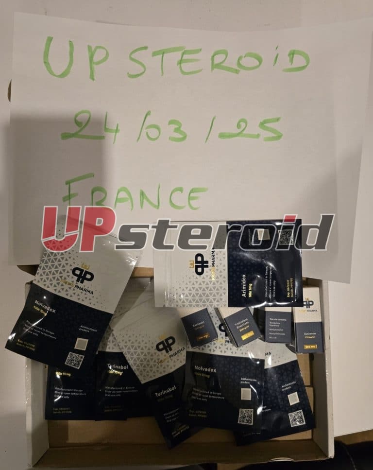 2025 03 27 67e4a8acee8ac Screenshot 20250327 022319 Gallery