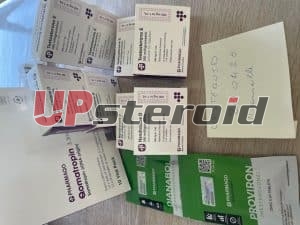 02/06/2026 - Marseille - France